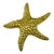 Mid 20th Century Solid Brass Starfish For Sale