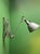 Bauhaus Scissor Lamp by Curt Fischer for Midgard, 1930s For Sale - Image 3 of 11