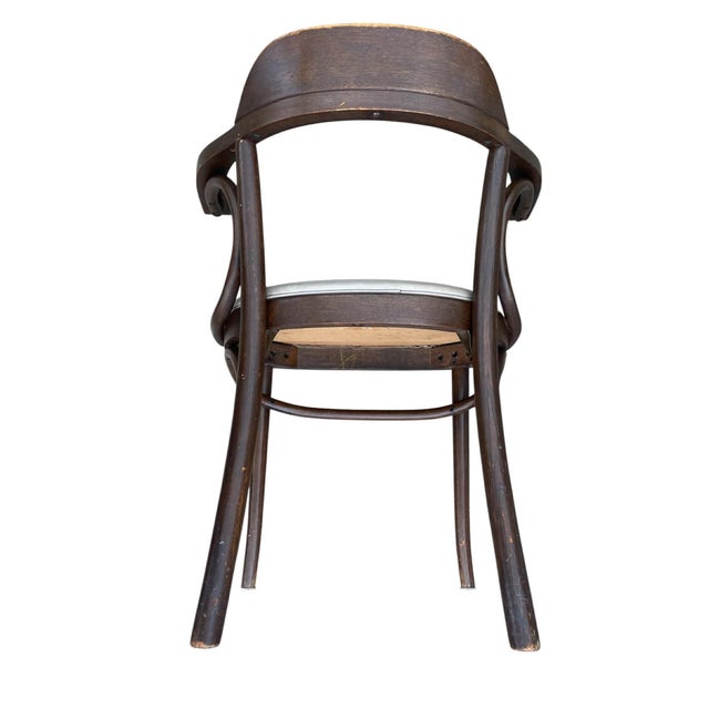 Early 20th Century , Thonet Style Arm Chair For Sale - Image 9 of 18