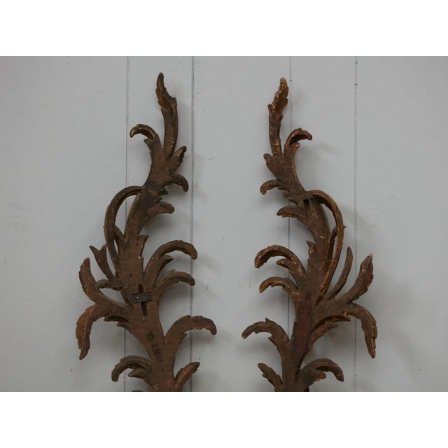 Pair of Italian 1820s Carved Giltwood Wall Fragments Depicting Scrolling Foliage For Sale - Image 9 of 9