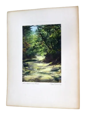 Percy Murray Sunlight and Shade Signed Vintage Photo