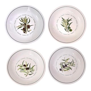 Mediterranean Williams Sonoma Olea Europaea Wso20 Botanical Olive Pasta Bowls Portugal Retired - Set of 4 For Sale