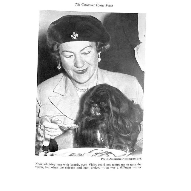 White "The Diary of a Freeman" 1953 'Black Knight' For Sale - Image 8 of 12