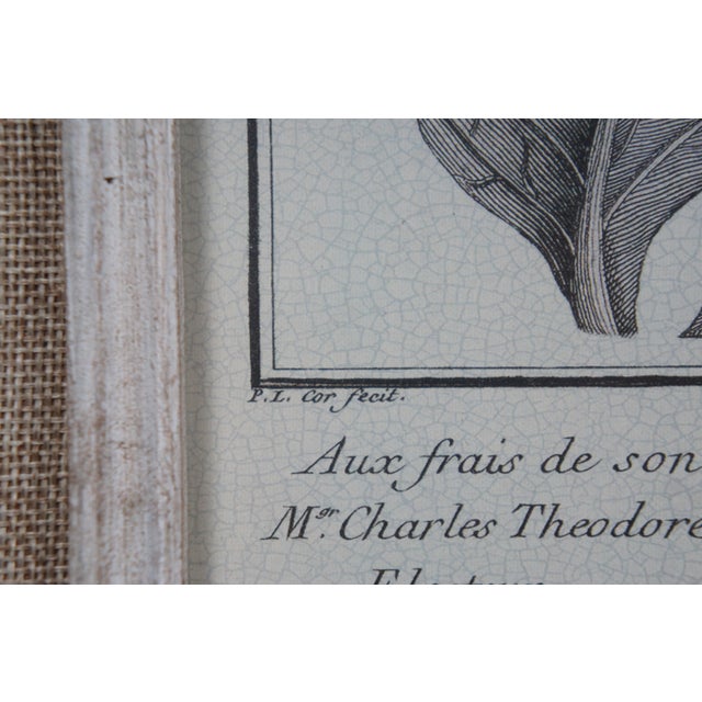 Late 20th Century Grace Feyock for Uttermost Casual Grey Study Botanical Prints on Burlap, Framed - Set of 2 For Sale - Image 10 of 12