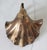 Vintage Footed Brass Swan Soap or Trinket Dish For Sale - Image 10 of 11