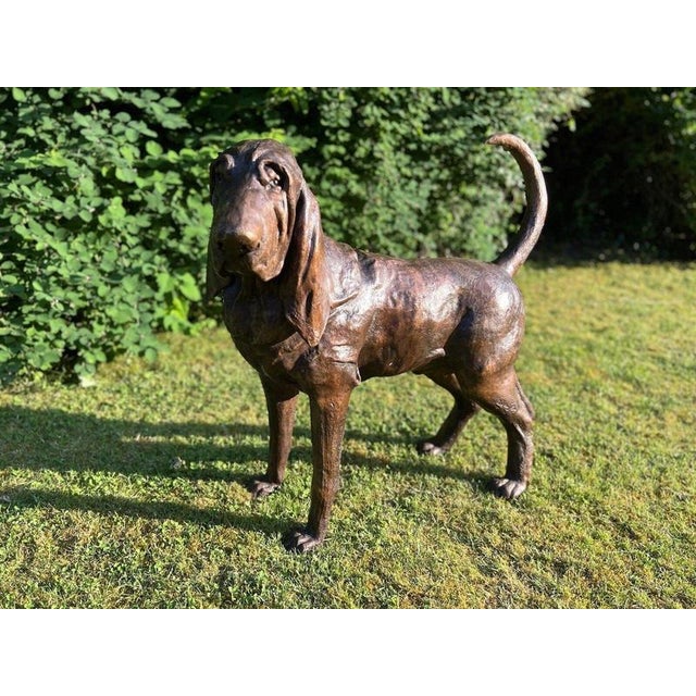 Life-Size Bronze Bloodhound Garden Statue from Christian Maas For Sale - Image 11 of 18