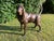 Life-Size Bronze Bloodhound Garden Statue from Christian Maas For Sale - Image 11 of 18