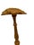 19th Century Carved Gilt Shell Music or Lectern For Sale - Image 4 of 8