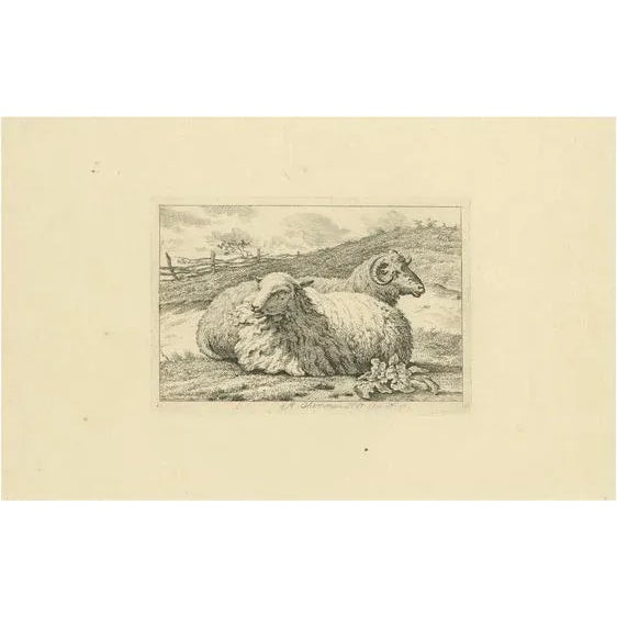Beige Anthony Oberman, Serene Pastoral Scene with Two Resting Sheep, 1810, Etching on Paper For Sale - Image 8 of 8