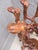 Camel Headed Wood Base Stand For Sale - Image 4 of 10