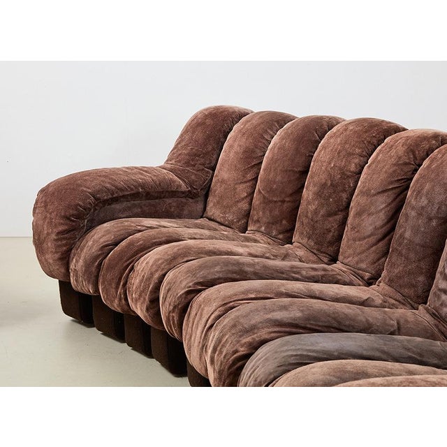 1980s DS-600 Snake Sofa by Ueli Berger for de Sede, Switzerland, 1970s, Set of 22 For Sale - Image 5 of 15