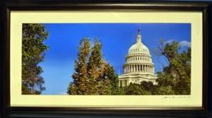 "United State Capitol and Trees From National Botanic" Contemporary Architectural Photograph, Framed