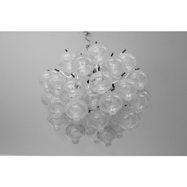 Tulipan 10-Light Chandelier from J.T. Kalmar, 1960s For Sale - Image 6 of 8