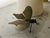 Brass Moth Insect Handmade French 2 X 4 For Sale - Image 10 of 16