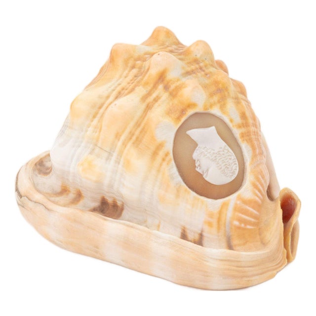 Victorian Cameo Carved Conch Shell, 19th C. For Sale