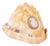 Victorian Cameo Carved Conch Shell, 19th C. For Sale