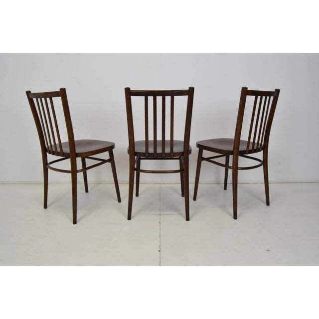 Wood Mid-Century Chairs from TON, 1960s, Set of 3 For Sale - Image 7 of 14