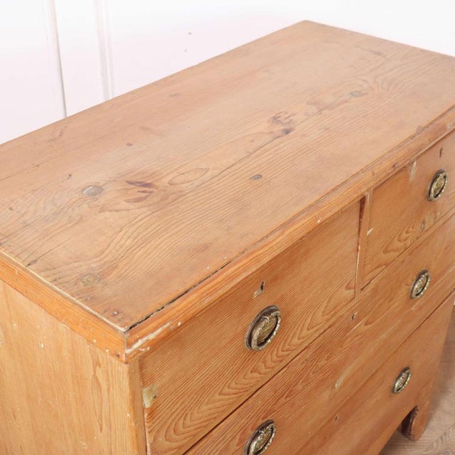 Wood English Pine Chest of Drawers For Sale - Image 7 of 9