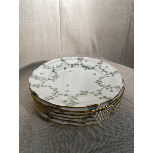 Vintage Royal Crown Derby English Tea Plates Set of 6 Chairish