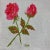Vera Neumann Mid-Century Vera Linen Rose Placemat & Napkin Set for Four, 1950s For Sale - Image 4 of 12