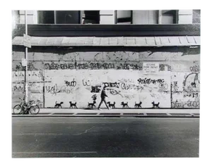 Peter Mayer, New York City for Rent With Dogs, Gelatin Silver Print