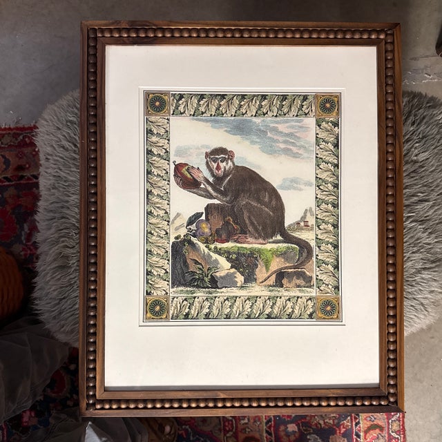 Paper Antique Print Hand Colored Lithograph Framed Monkey and Pomegranate 22.4” X 18.4” For Sale - Image 7 of 7