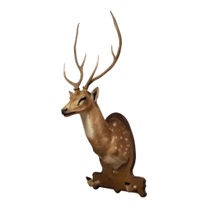 Vintage Large Axis Trophy Mount With Rack