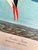 John James Audubon 1964 Audubon Folio Lithograph Great Bird Paintings – “Arctic Tern” 17x14 For Sale - Image 4 of 9