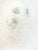 Image dimensions: 38.2 x 28.4 cm. Hand Signed. from the Portfolio "Petit Traité de Morale", Paris, Editions Georges Visat,...