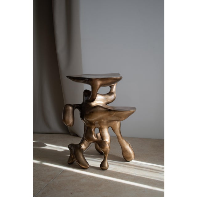 Came Uninvited is a sculptural table inspired by the structures of living things. It evokes an organic presence inspired...