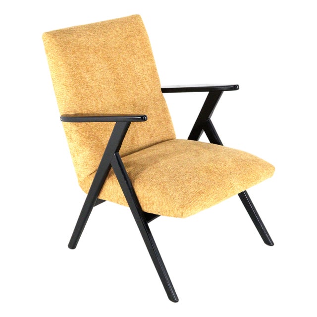 De Lier Lounge Chair For Sale