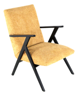 De Lier Lounge Chair