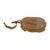Contemporary 18k Gold Yellowish Orange Carved Jade Animal Pendant Enhancer For Sale - Image 3 of 4