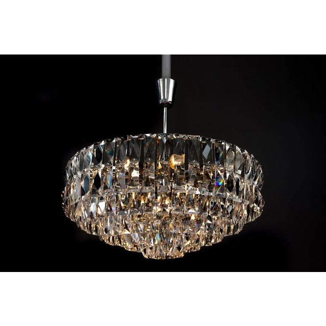 Crystal Chandelier by Bakalowits for Bakalowits & Söhne, 1960s For Sale - Image 6 of 18