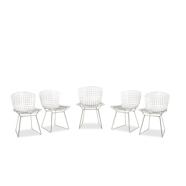 Vintage Chairs by Harry Bertoia for Knoll, 1970s, Set of 5 For Sale - Image 10 of 10