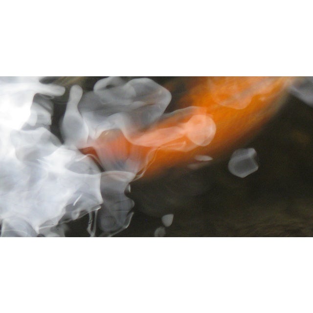 Contemporary "Koi 2" 18"x24" Contemporary Color Photograph Black Frame by Dorothy Solomon For Sale - Image 3 of 4