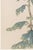 Japanese Chrysanthemum by Hasegawa, Vintage Botanical Art Print, 12" X 18" For Sale - Image 4 of 8