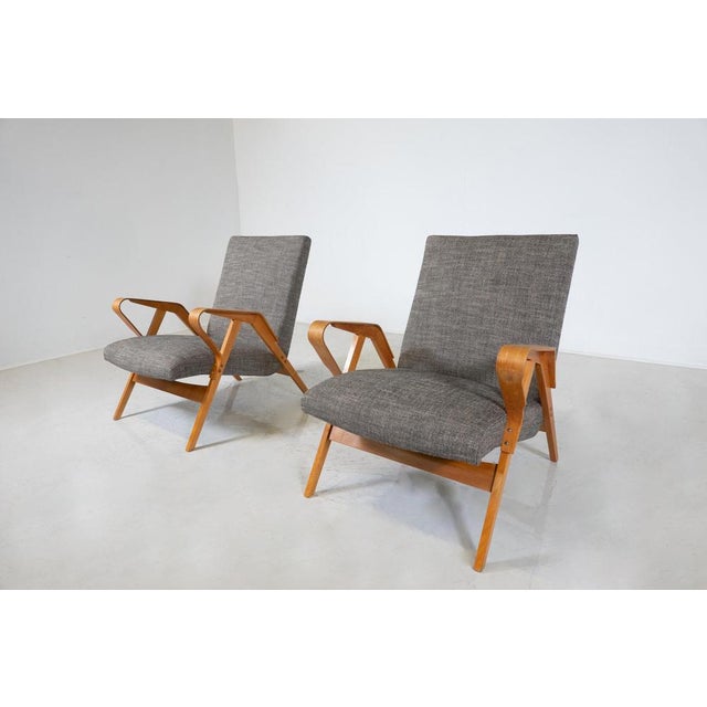 1950s Set of Mid-Century Modern Armchairs, 1950s For Sale - Image 5 of 8