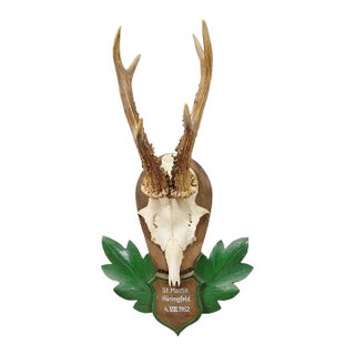 Great Black Forest Red Deer Trophy on Carved Plaque - Germany 1952 For Sale