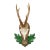 Great Black Forest Red Deer Trophy on Carved Plaque - Germany 1952 For Sale
