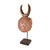 Early 20th Century Baule Goli Mask Kplekple on Custom Stand Côte d'Ivoire For Sale In Denver - Image 6 of 8