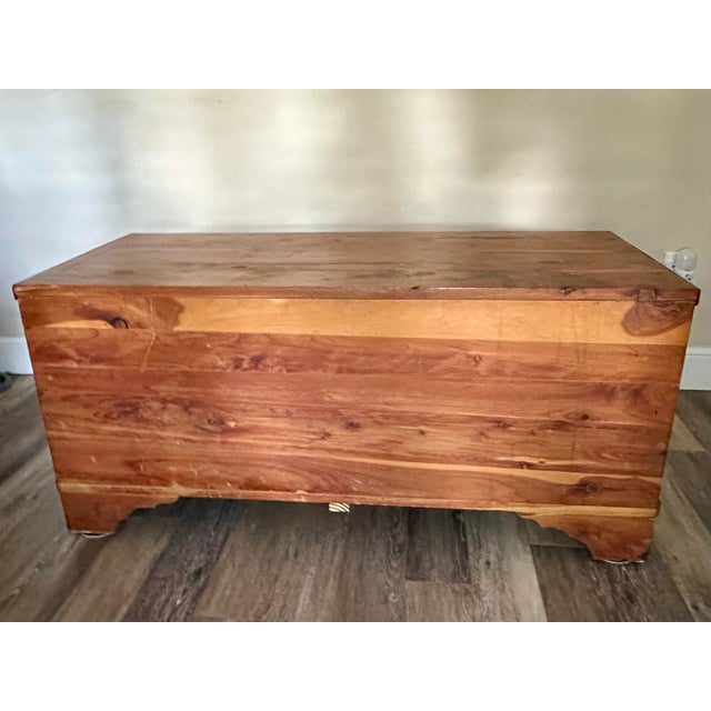 Antique Early 20th Century Rustic Farmhouse or Cabin Cedar Blanket Chest For Sale In Orlando - Image 6 of 12
