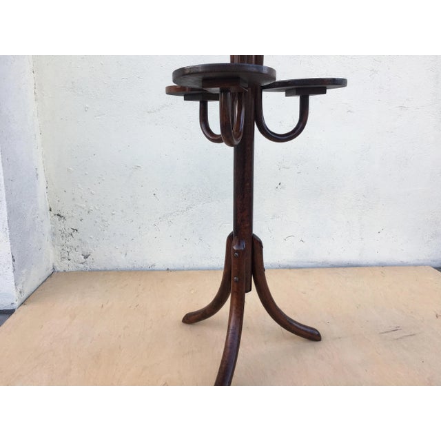 1940s Bentwood Flower Bed from Thonet, 1940s For Sale - Image 5 of 18