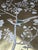 Chinoiserie Gold Leaf Chinoiserie Hand-Painted Bird & Blossom Wall Panels (Set of 2) For Sale - Image 3 of 3