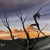A remarkable surrealist oil painting by italian artist giorgio vicari, titled evasione surreale, created in 1979....