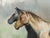 Matthew Paoletti "Four Horses" Contemporary Naturalistic Equestrian Animal Painting of Horses, 2022 For Sale - Image 10 of 10
