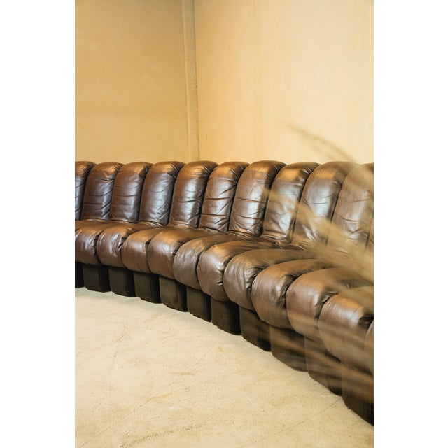 DS600 Non-Stop Snake Sofa in Brown Leather by Ueli Berger for de Sede, 1970s, Set of 16 For Sale - Image 17 of 18