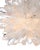 The petite Purity Pendant is a burst of brightness with each of its spikes made of natural quartz. The crystal is very...