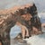 Wood Dorothy A. Gordoy Santa Cruz Natural Bridges California Coastal Oil Painting For Sale - Image 7 of 10