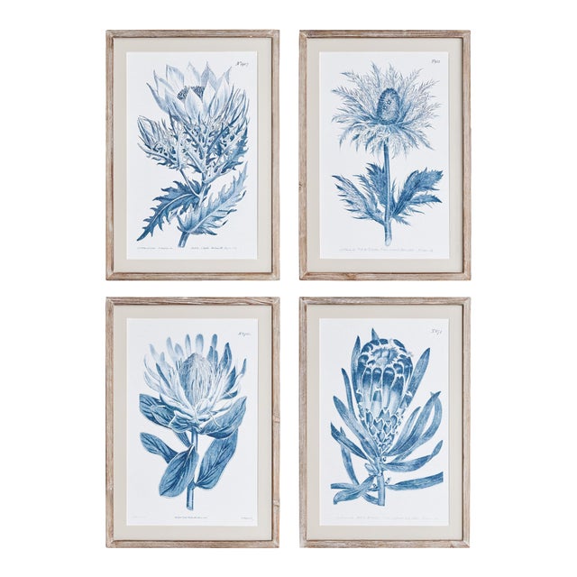 Indigo Protea Prints, Set Of 4 For Sale